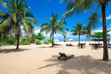  sri Lanka tropikal plaj