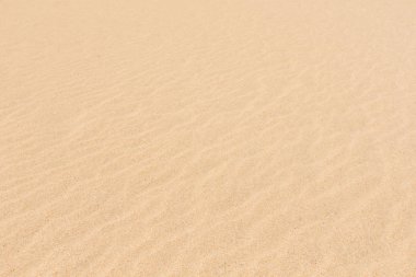 Yazın kumsal deseni