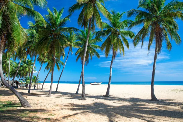 Playa Tropical Sri Lanka — Foto de Stock