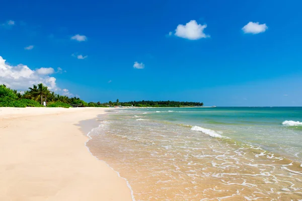 Strand Und Tropisches Meer — Stockfoto