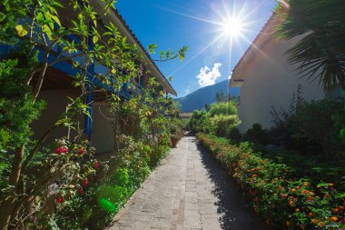 Güzel bahçe manzarası