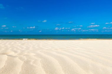 plaj ve tropikal deniz