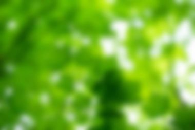 Yeşil bokeh arka plan 