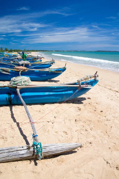 Тропический пляж с кабанами — стоковое фото