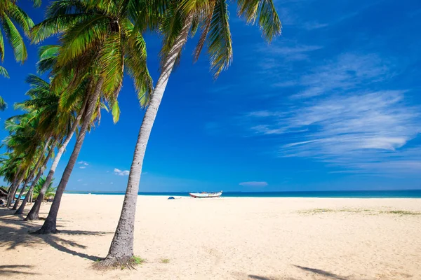 Tropischer strand in sri lanka — Stockfoto