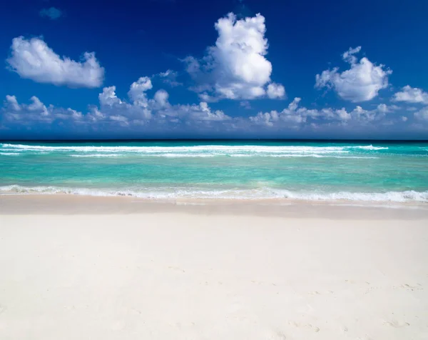 Playa de mar caribeño — Foto de Stock