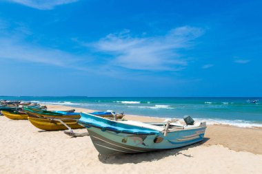  plaj ve tropikal deniz