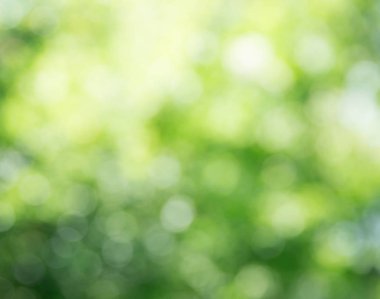 Yeşil bokeh arka plan ve güneş ışığı
