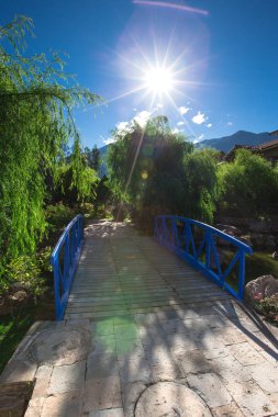 Bahçe peyzaj gün zaman vurdu