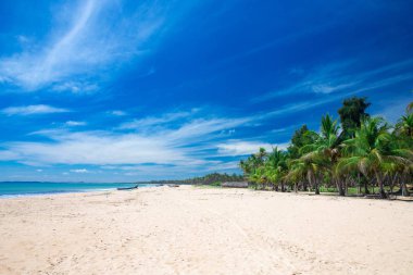 Plaj ve güzel tropikal deniz. 