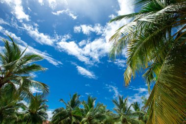 Mavi gökyüzü güneşli bir açık havada beyaz bulutlar ile Panoraması 