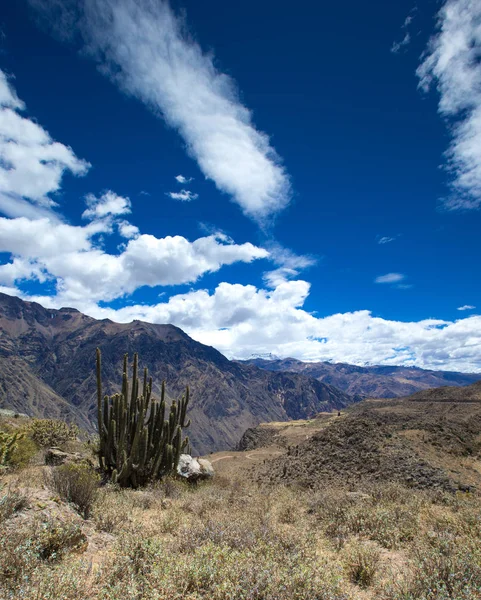 Paisagem Nas Montanhas Peru — Fotografia de Stock