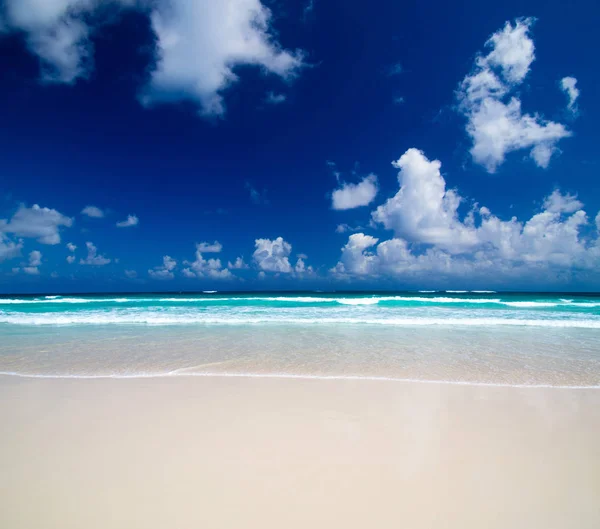 Areia Praia Mar Caribenho — Fotografia de Stock