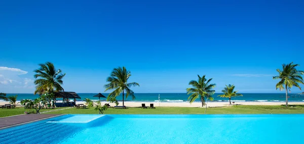 Piscina Hotel Lujo Con Palmeras Vistas Mar — Foto de Stock