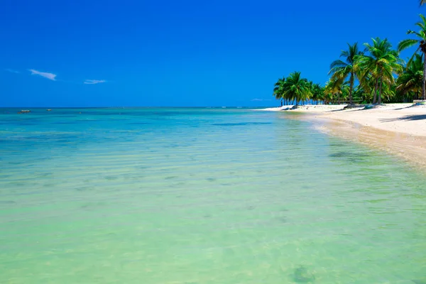 Strand Mit Grünen Palmen Und Tropischem Meer — Stockfoto