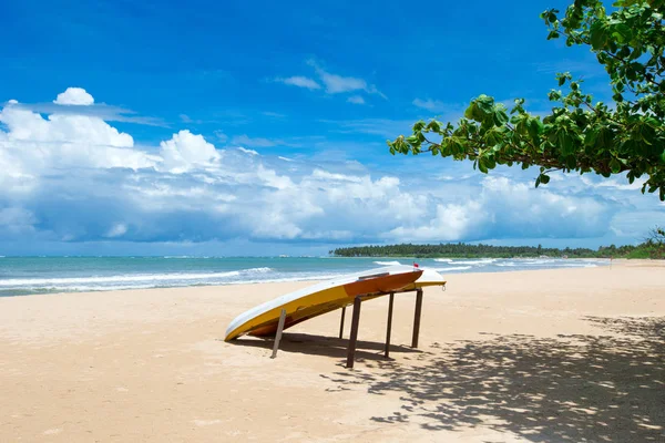 Plaj tekne tropik sahilde Deniz Manzaralı