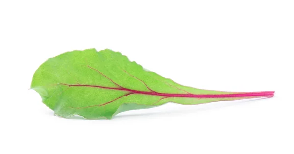 Blad Van Salade Geïsoleerd Witte Achtergrond — Stockfoto