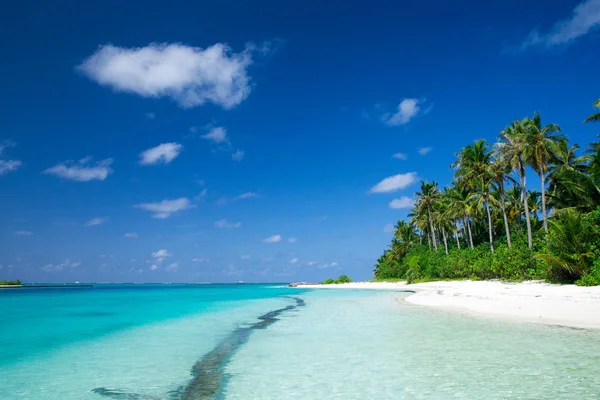 Tropical Maldives Island White Sandy Beach Sea — Stock Photo, Image