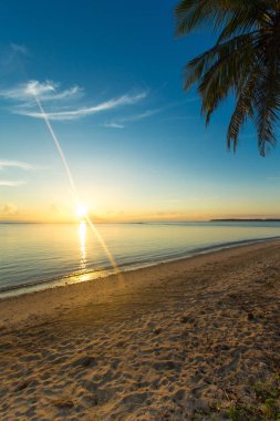 deniz manzarası ve günbatımı arka plan üzerinde palmiye sahil şeridine