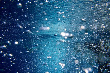 Kopya alanı olan sakin sualtı sahnesi