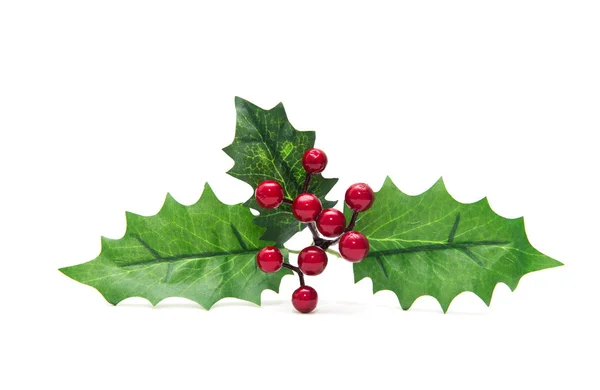 Holly bär blad jul dekoration isolerad på vit backgr — Stockfoto