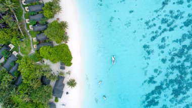 Maldivler ve tropikal plaj güzel hava görünümü. Seyahat bir