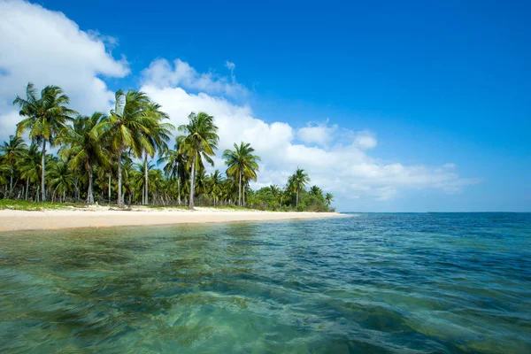 Tropiska stranden i Sri Lanka. Sommarsemester och semester obefläckade — Stockfoto