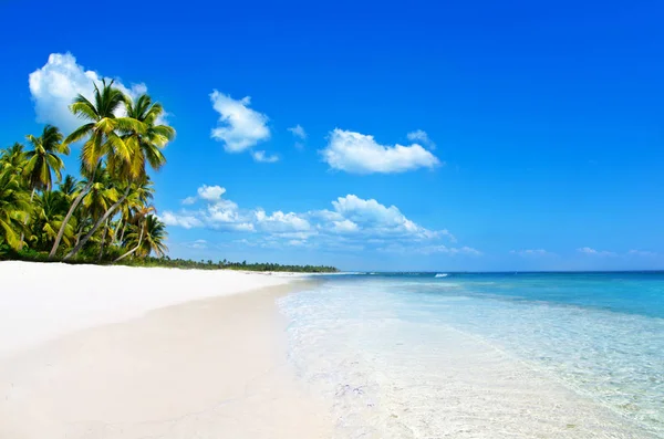 Plaża i tropikalne morze. wyspa tropikalna — Zdjęcie stockowe