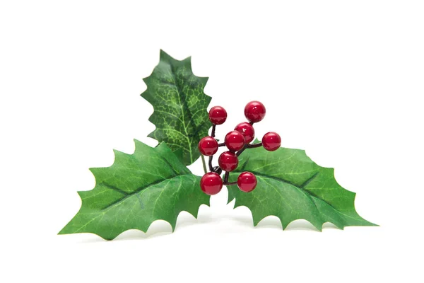 Holly berry leaves Christmas decoration isolated on white backgr — Stock Photo, Image