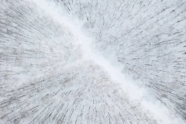 Flygfoto över Vinterskogen och vägen. Vinterlandskap — Stockfoto