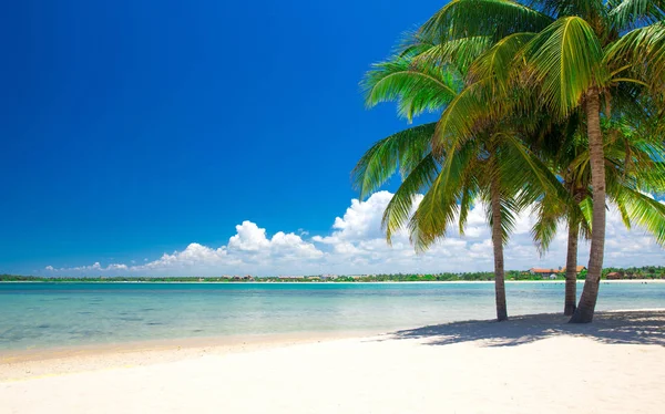 Bella spiaggia e mare tropicale — Foto Stock