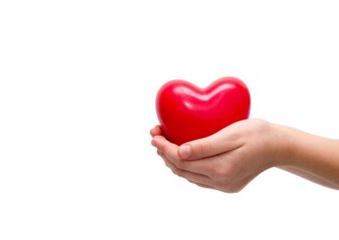 Kırmızı kalp kadınların elinde, beyaz arka planda.