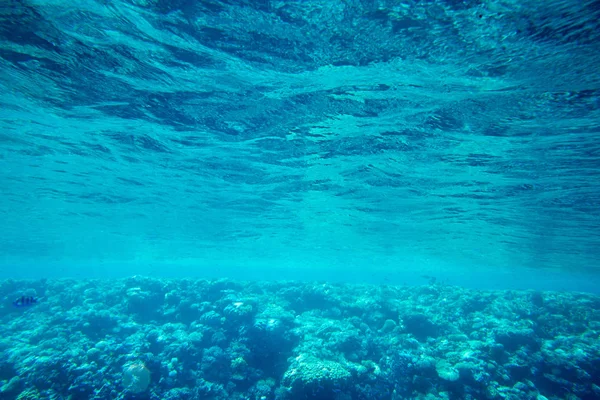 Vista subacquea della superficie del mare — Foto Stock