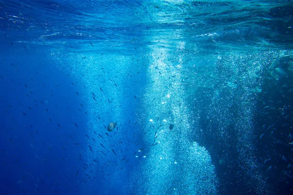 Tranquila Escena Submarina Con Espacio Para Copiar — Foto de Stock