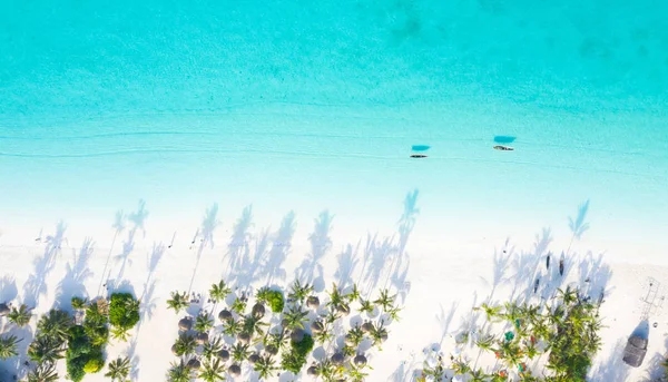 Pięknej Tropikalnej Wyspie Zanzibar Ptaka Morze Zanzibar Beach Tanzania — Zdjęcie stockowe