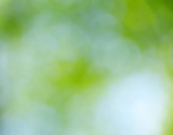 Natuurlijke Groene Achtergrond Achtergrond Groene Kleuren Het Bokeh Effect — Stockfoto