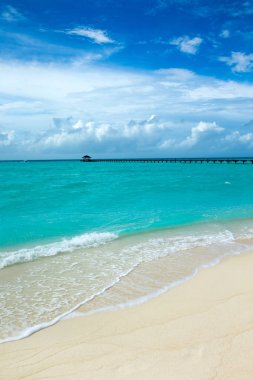 Beyaz kumlu sahili ve denizi olan tropik Maldivler adası