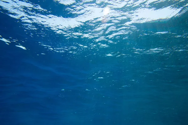 Scène sous-marine tranquille avec espace de copie — Photo