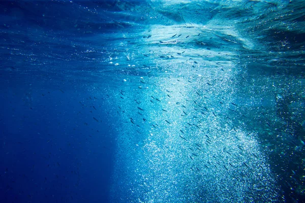 Tranquil underwater scene with copy space — Stock Photo, Image