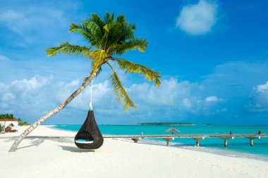 Plaj ve tropikal deniz. doğa arkaplanı