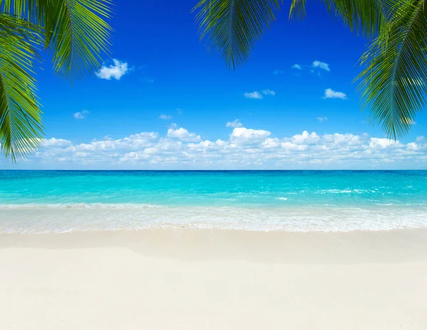 Schöner Strand und tropisches Meer — Stockfoto