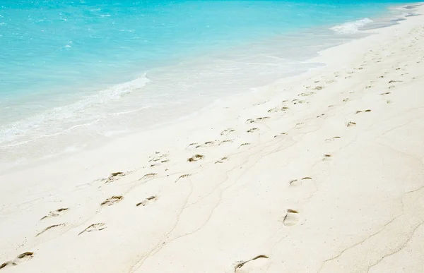 Plage et mer tropicale. nature arrière-plan — Photo