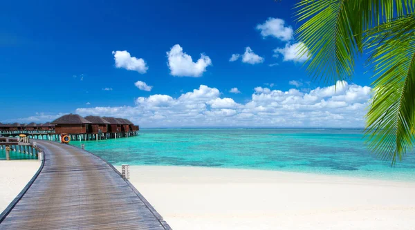 Tropische Malediven eiland met wit zandstrand en zee — Stockfoto