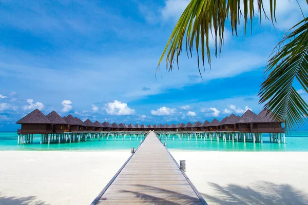 Plage tropicale aux Maldives avec peu de palmiers et lagune bleue — Photo