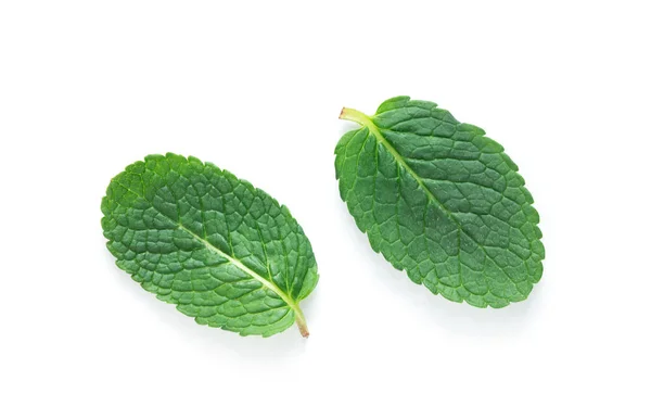 Φρέσκα φύλλα πράσινης μέντας που απομονώνονται σε λευκό φόντο. πάνω όψη. — Φωτογραφία Αρχείου