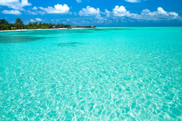 Playa tropical en Maldivas con pocas palmeras y laguna azul —  Fotos de Stock