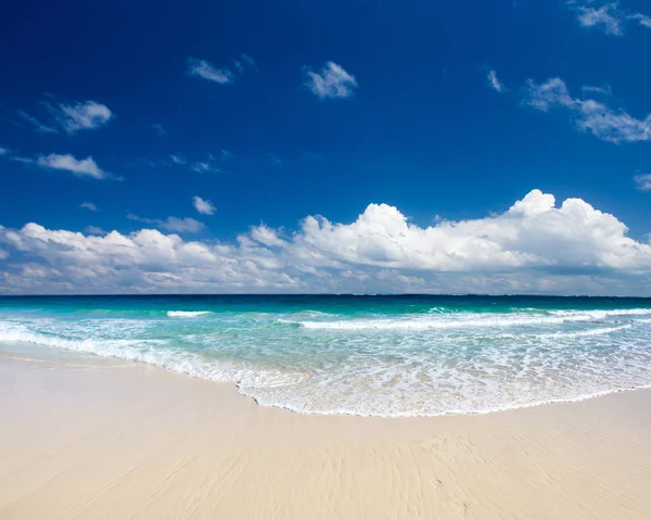 Strand og smukke tropiske hav. tropisk strand i Maldiverne - Stock-foto
