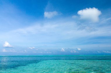 Tropik sahil Karayip Denizi. Deniz manzarası