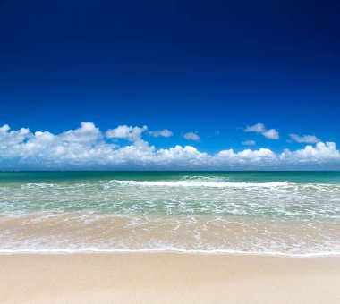 Sri Lanka 'da tropik bir sahil. Turizm için yaz tatili ve tatil kavramı.