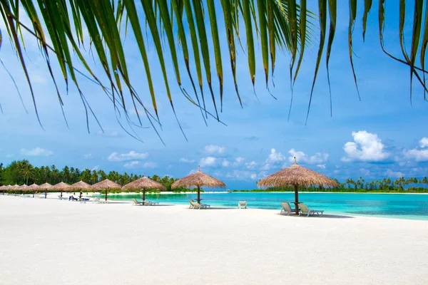 Praia Tropical Maldivas Com Poucas Palmeiras Lagoa Azul — Fotografia de Stock